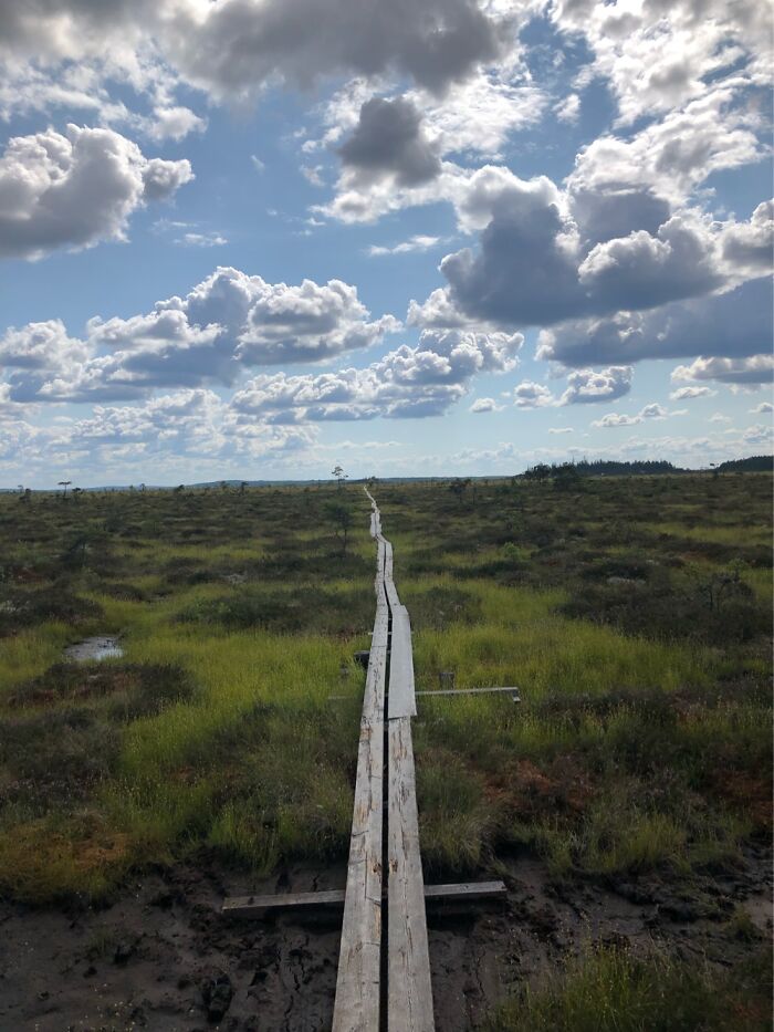 Store Mosse National Park, Sweden