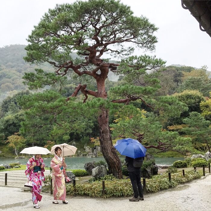 Tenryu-Ji Temple 2017