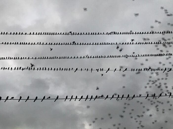 Social Distancing-Nature’s Way