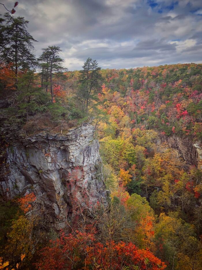 The Beginnings Of Fall.