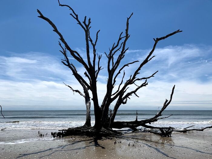 Edisto Island, South Carolina