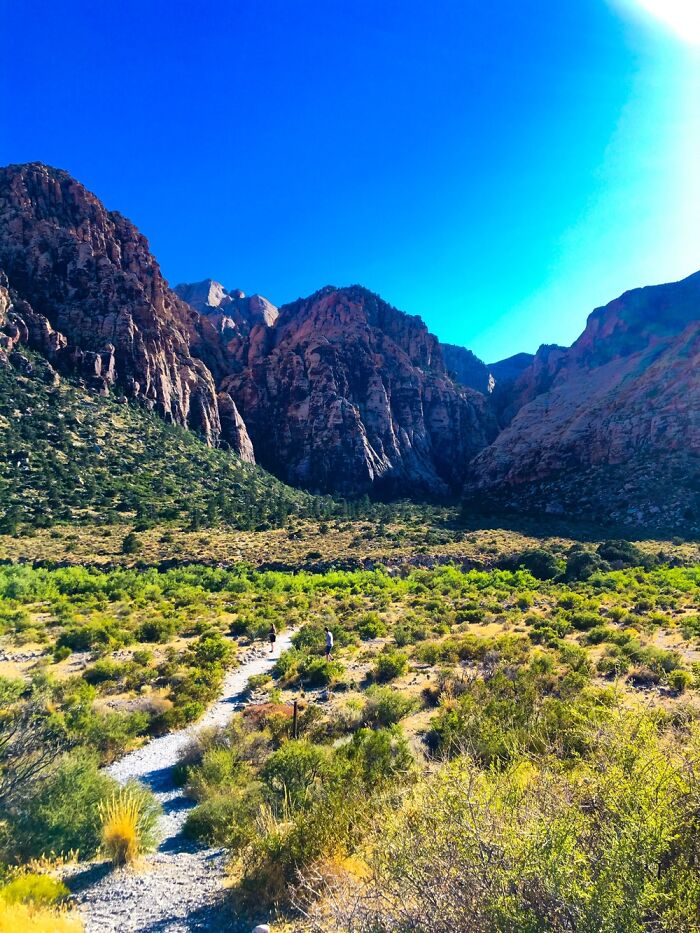 The Ice Box In Nevada