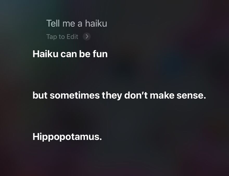 23 Funny Replies Siri Has Given Me To My Queries... 23 Funny Replies Siri Has Given Me To My Queries...