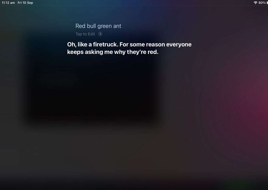 23 Funny Replies Siri Has Given Me To My Queries... 23 Funny Replies Siri Has Given Me To My Queries...