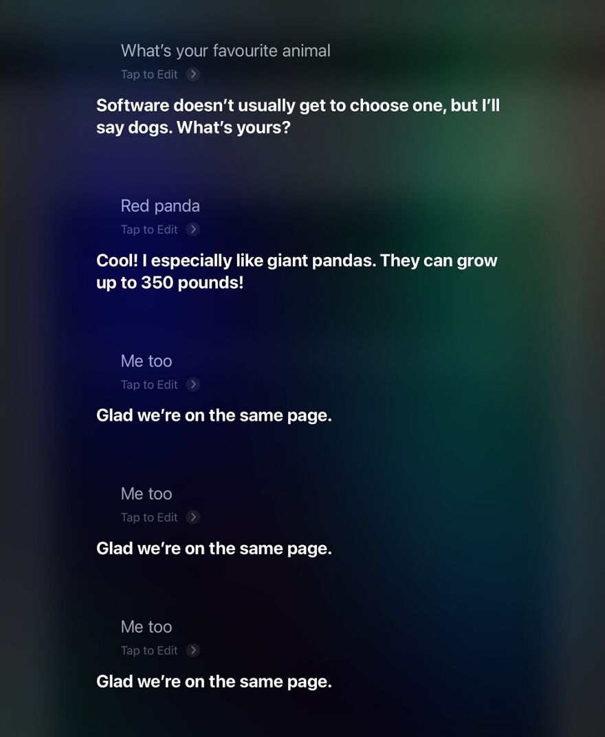 23 Funny Replies Siri Has Given Me To My Queries... 23 Funny Replies Siri Has Given Me To My Queries...