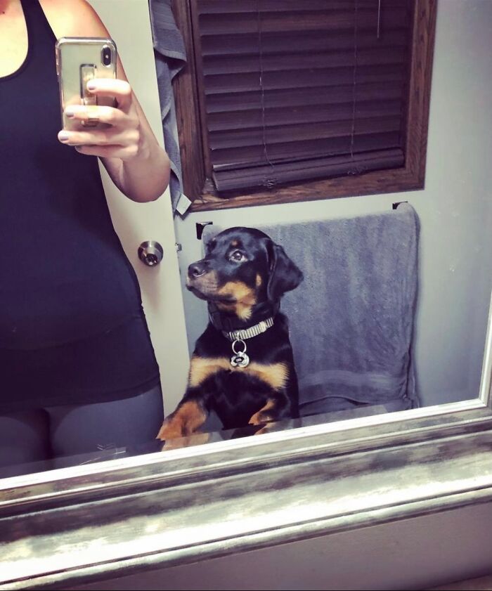 Newest Command Learned “Selfie!”