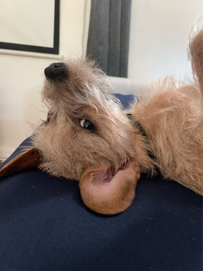 The Side Eye Of Judgement