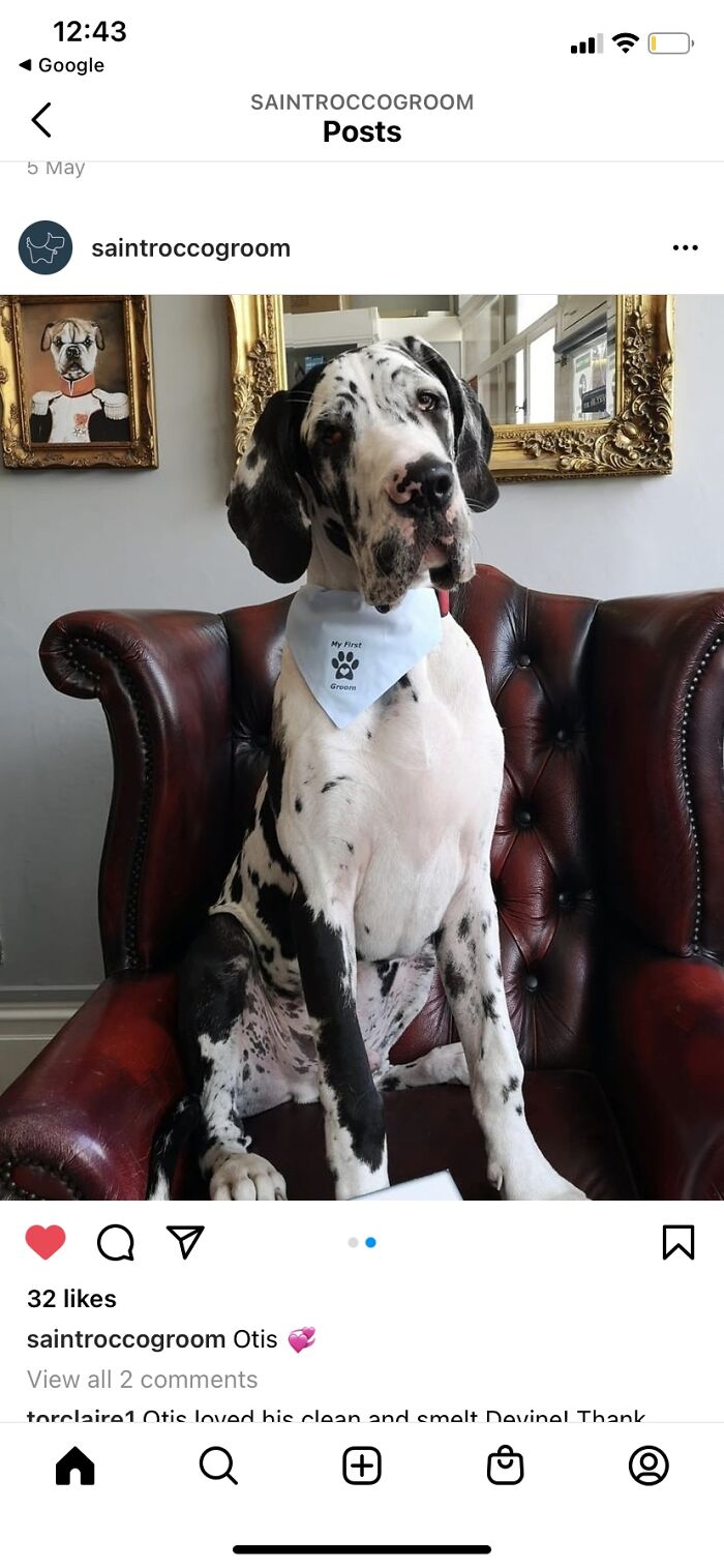 How He&rsquo;s Grown 😂