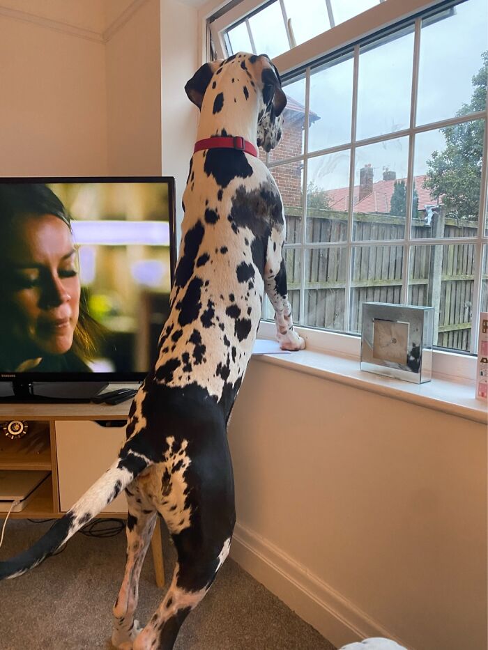 How He&rsquo;s Grown 😂