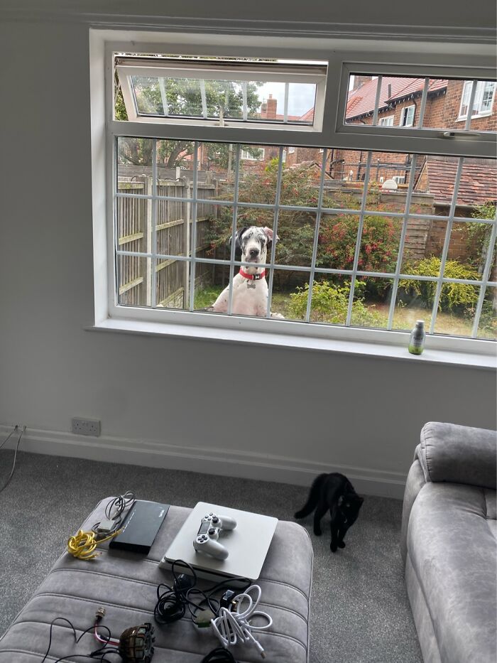 How He&rsquo;s Grown 😂