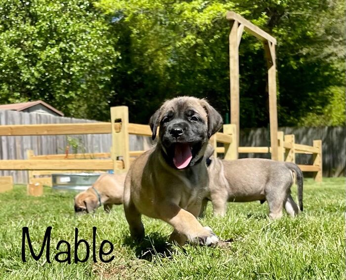 Not An Item But Still My Favorite