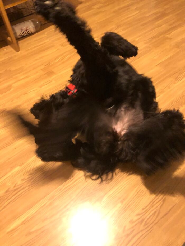 I Think She’s Broken 😜