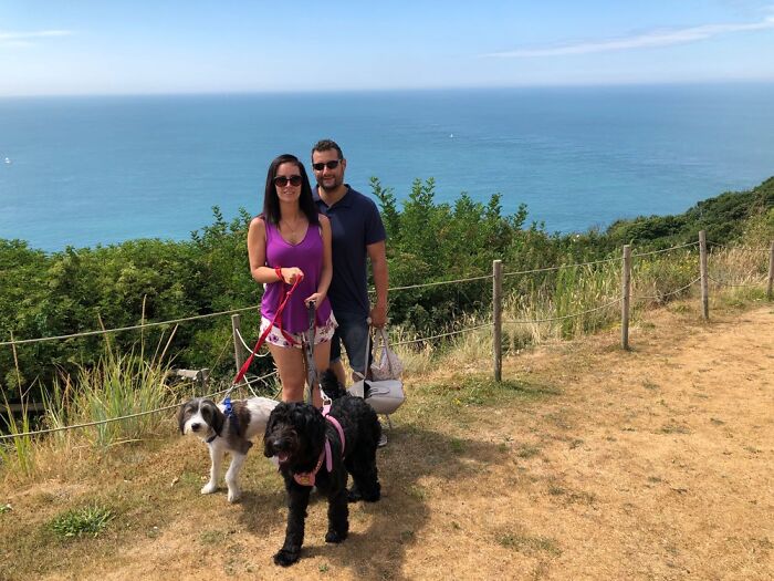 My Dogs Florence And Otis