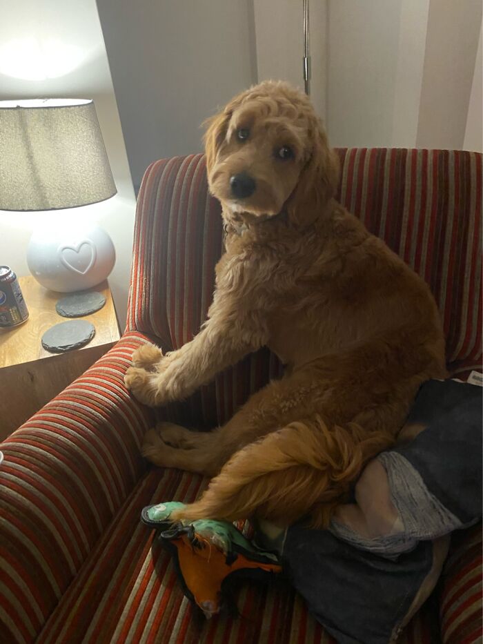 Otis - Thinks He’s A Human