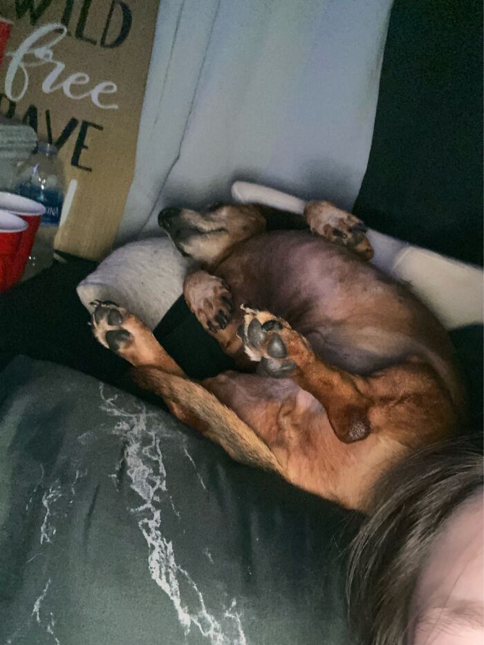 Right After This.. He Kicked Me