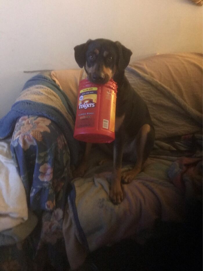 Eko Asking If You Want Some Coffee