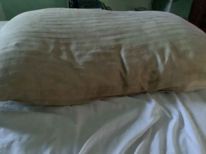 My Pillow. Can’t Sleep Without It?