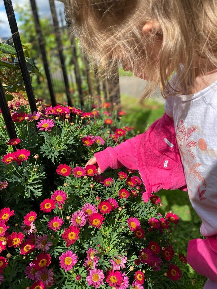 Spring Is Finally Here In Australia 🌸🌺