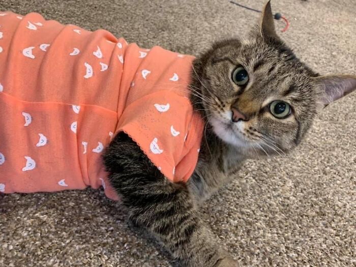 Oni In Her New Shirt