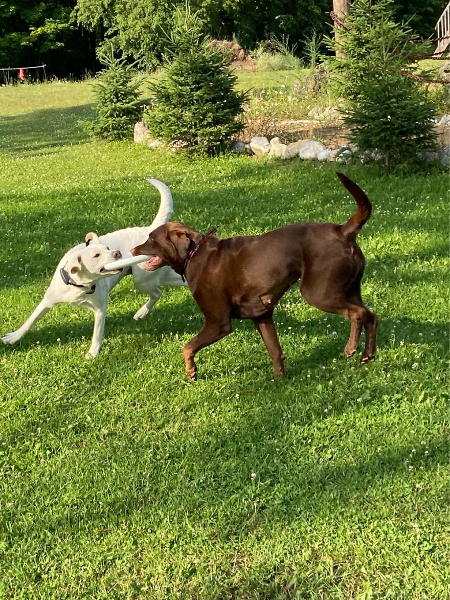 Can’t You Tell Who’s Putting In The Effort?