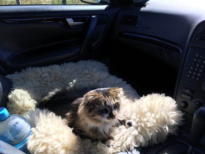 Headed To The Beach…