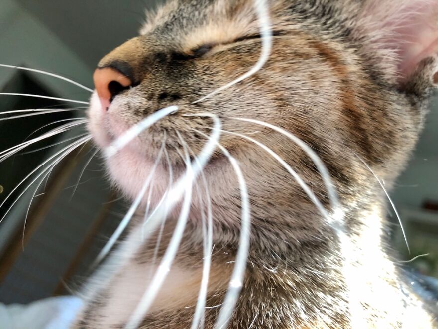 She’s About As Close As She Can Get.