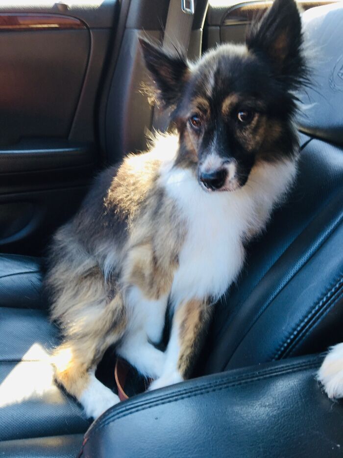 We’re Not Going To Grandmas House Are We?