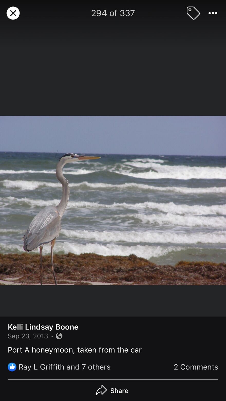 Leaned Out The Window To Capture This Shot