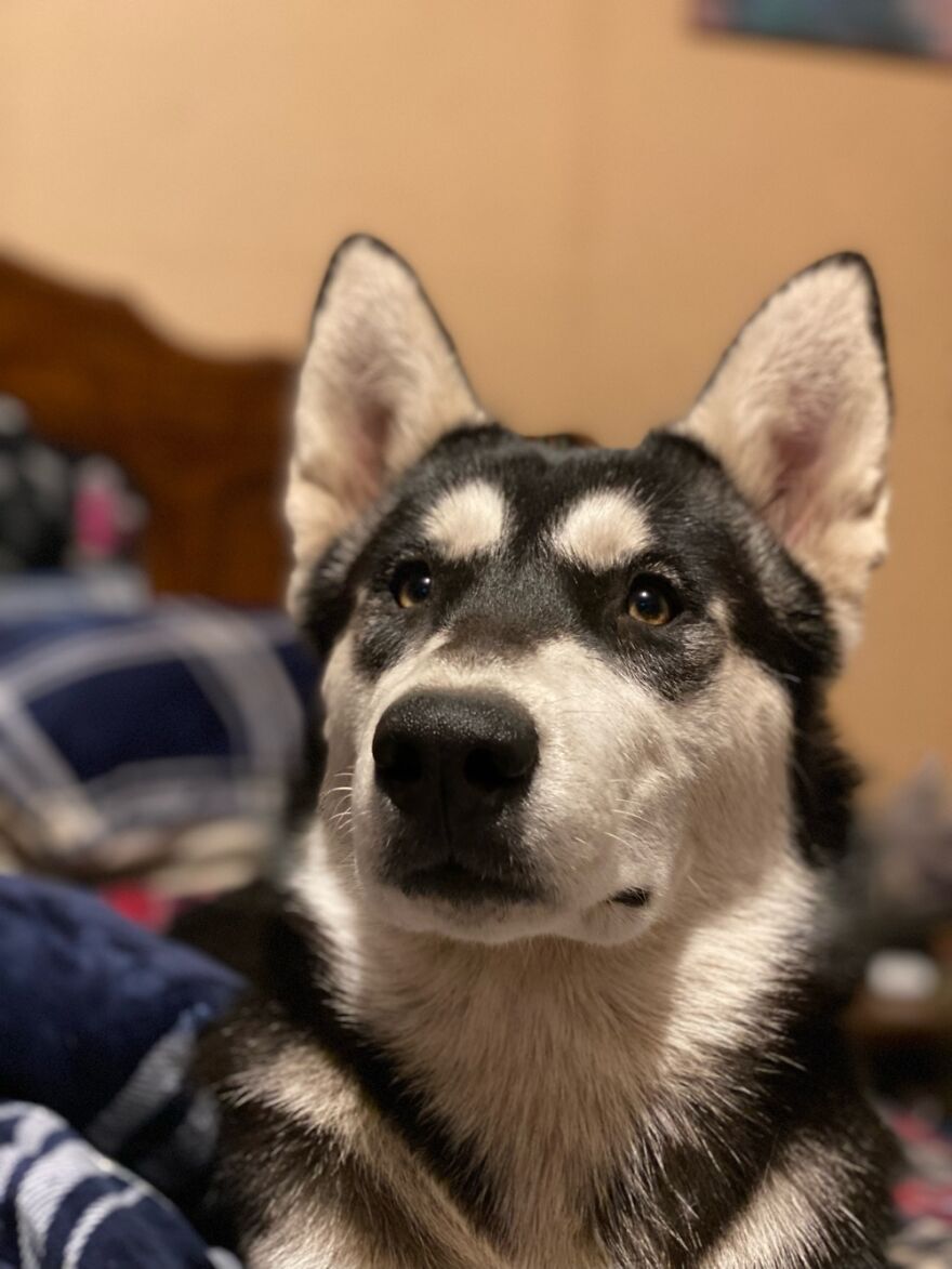 Intensely Watching…⚾️ On TV.