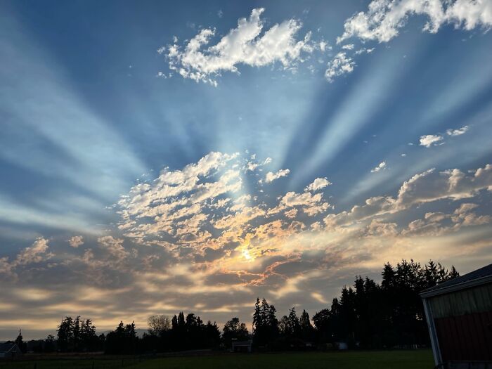 Picture I Took During A Fabulous Sunrise. ☀️