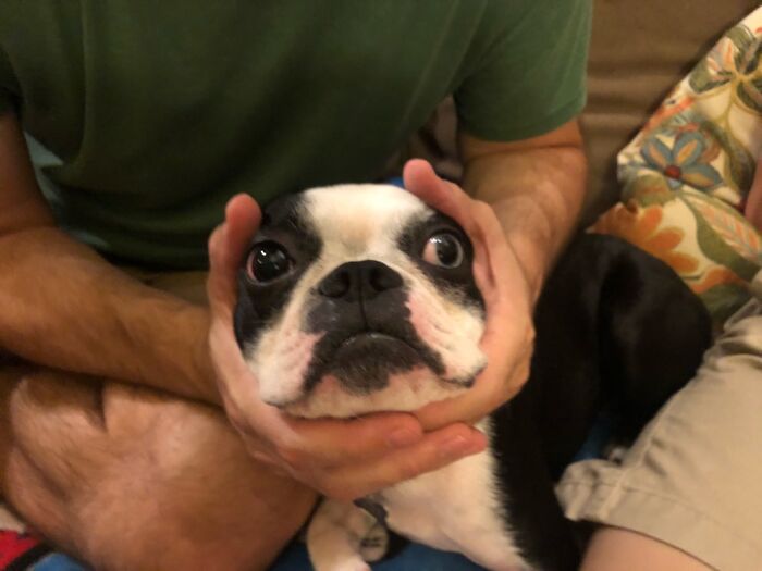 Good Boy, Bucky Blue Eye 😊