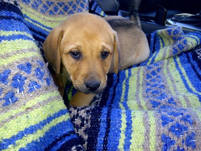 Going Way Back, My Girl 8 Years Ago. 💓