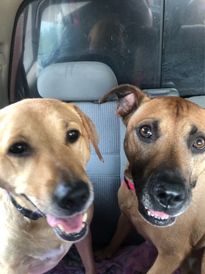 Cross Country Move Had Them A Lil Stressed