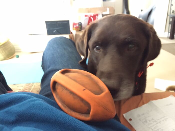 Nani (Pronounced ‘Nah-Nee’).