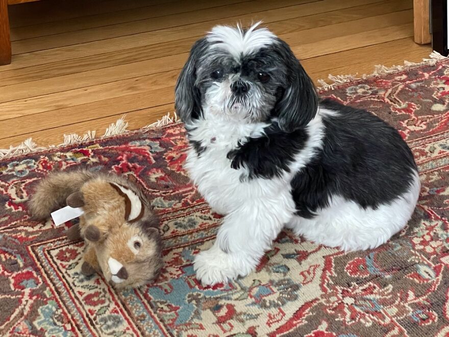 Molly With Her First “Kill”.