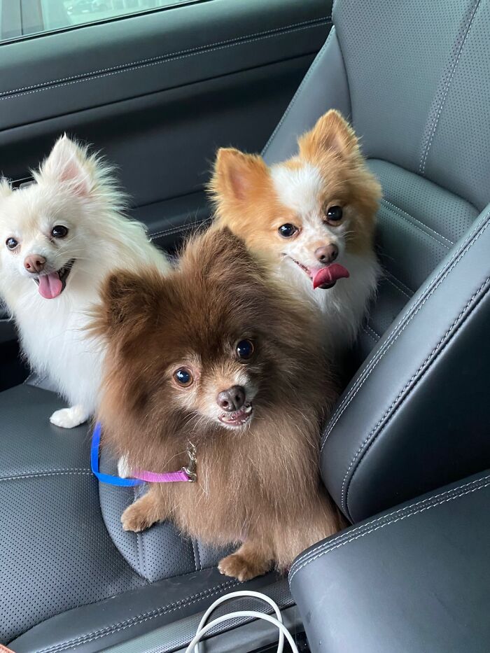 Convertible Rides ❤️