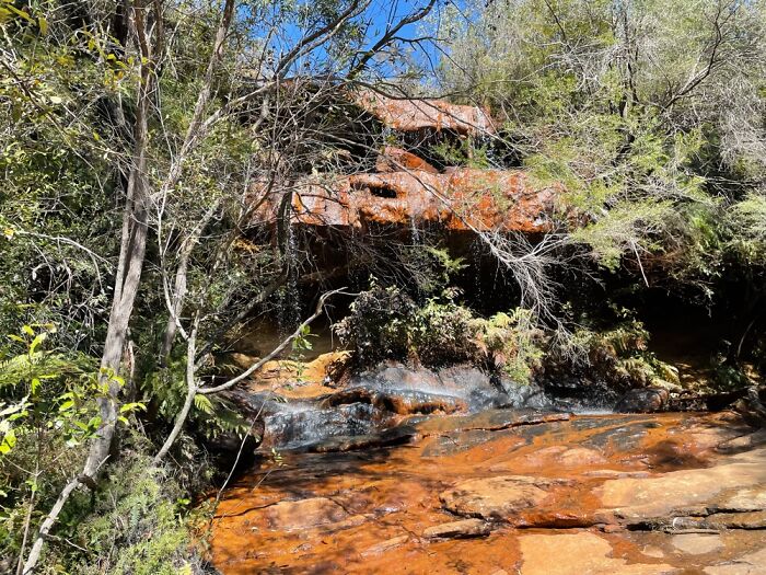 Yesterday's Bushwalk In The Blue Mountains, Australia