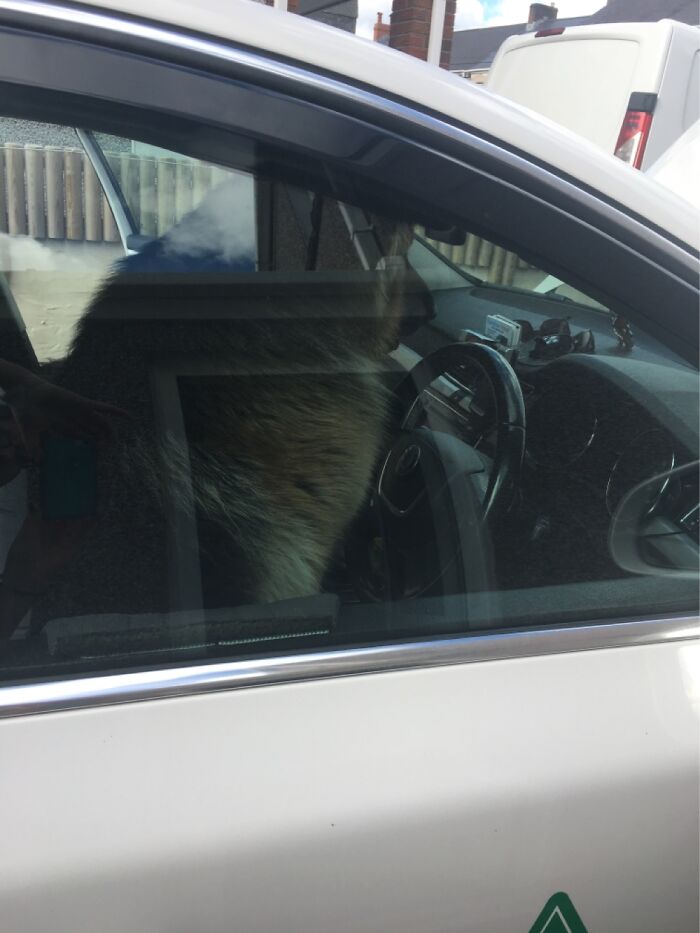 I’m Out Of Here, Whose Coming?