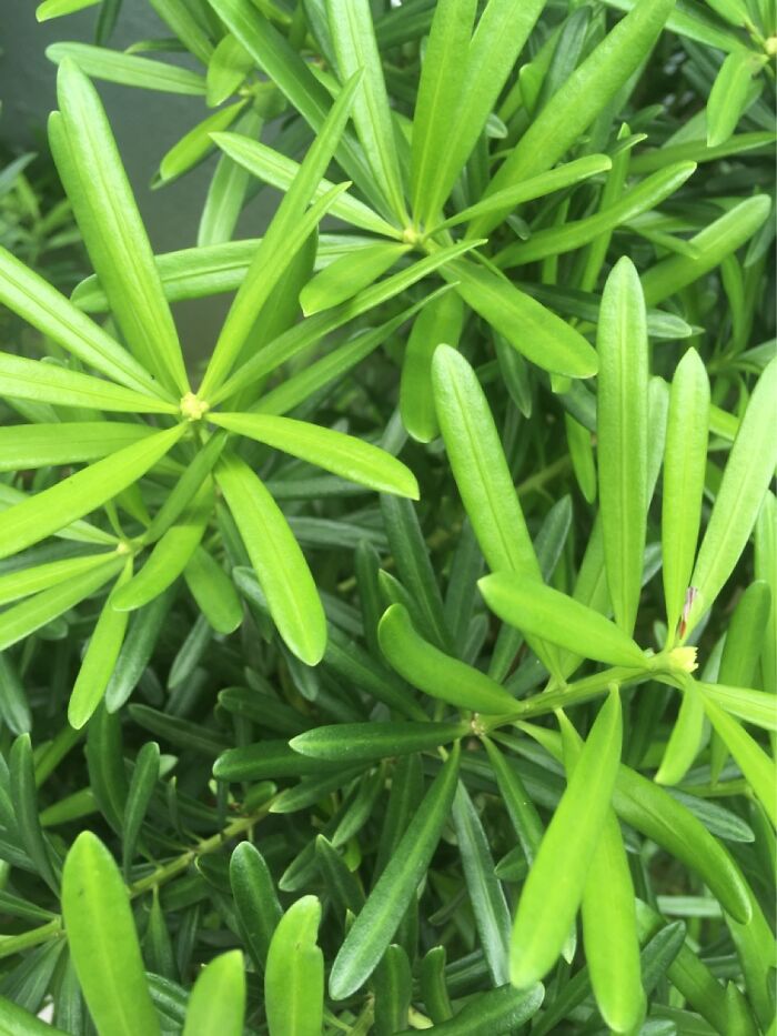 Took This Pic After The Doctors Declared My Husband And I Are Both Covid Free.