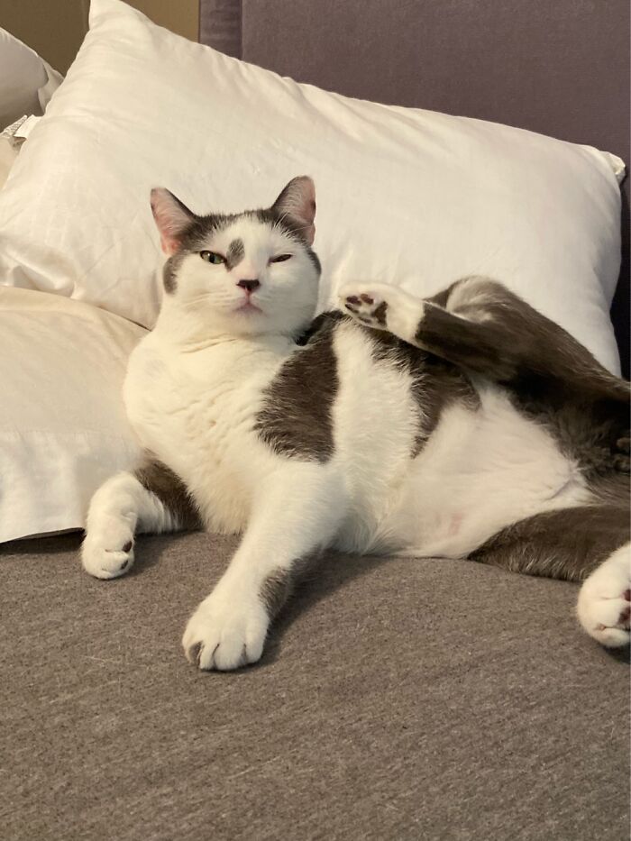 My Existence Disturbed Him.