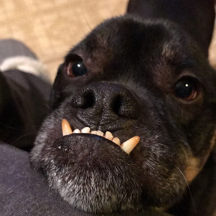 His Little Face Melts My Heart