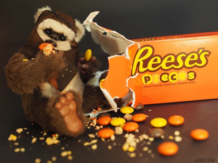 Hot Toys Wicket Adventures