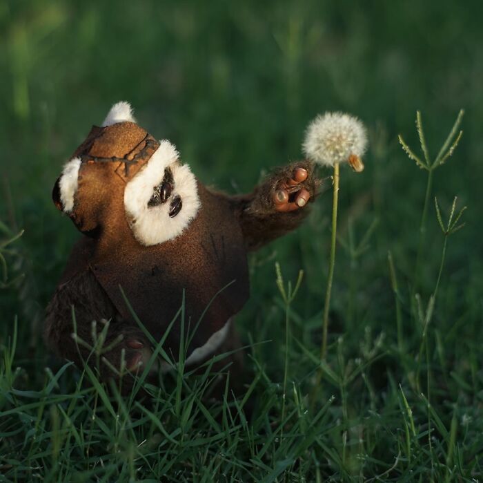 Hot Toys Wicket Adventures