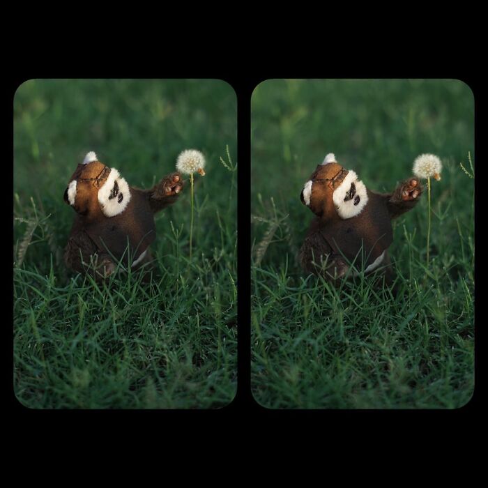 Hot Toys Wicket Adventures