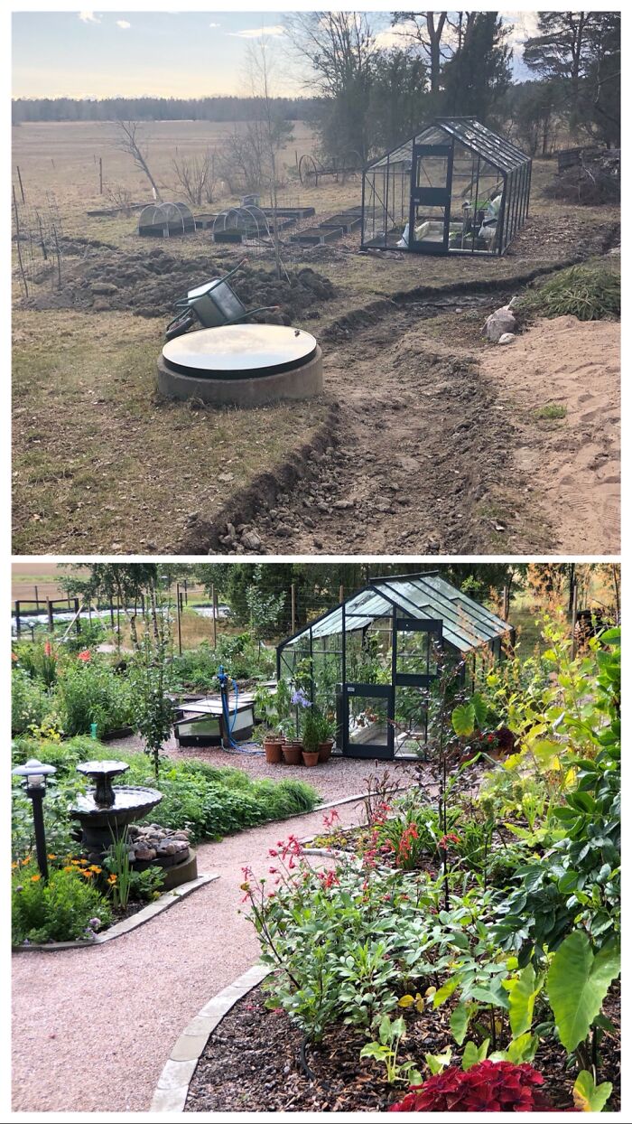 Progress With My Garden 2020-2021. Extremely Proud Of It!
