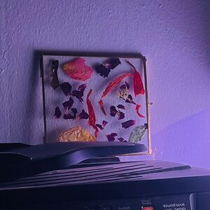 angelinaarias avatar