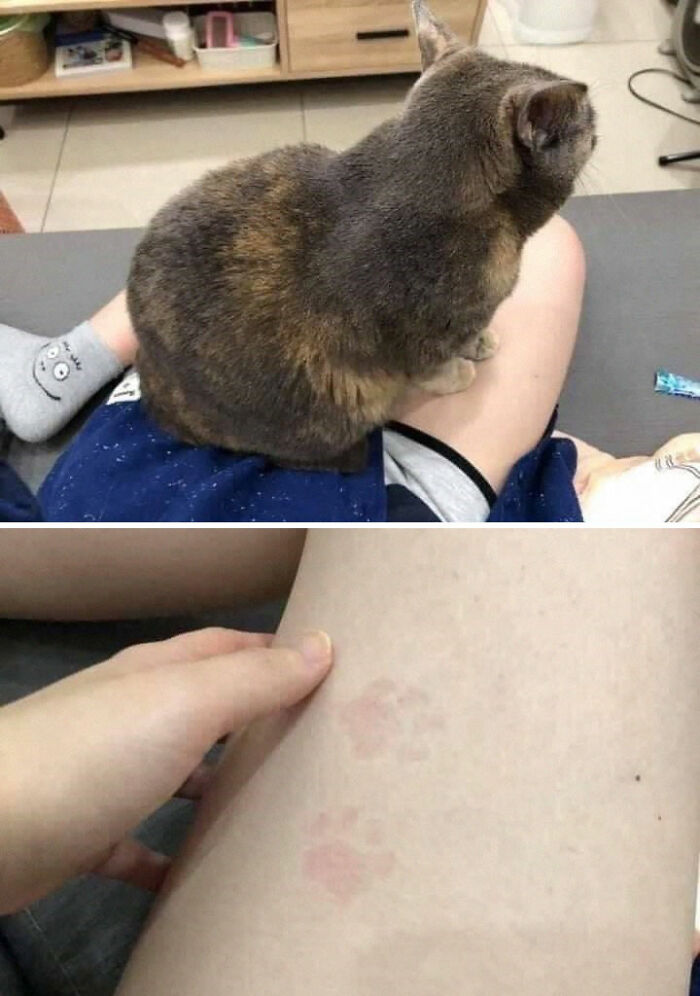 This Facebook Page Is All About Animal Images That Need To Be Seen (50 New Pics)