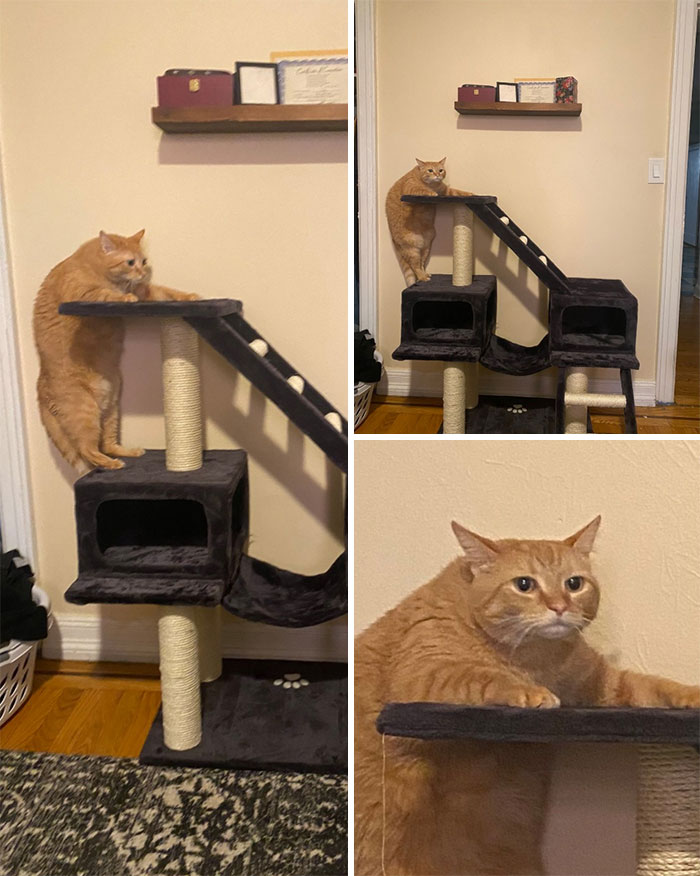 This Facebook Page Is All About Animal Images That Need To Be Seen (50 New Pics)