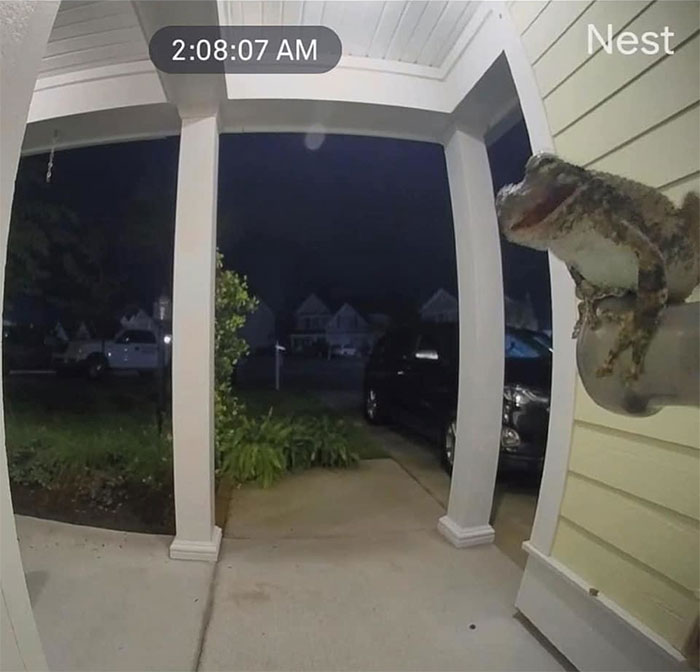 This Facebook Page Is All About Animal Images That Need To Be Seen (50 New Pics)