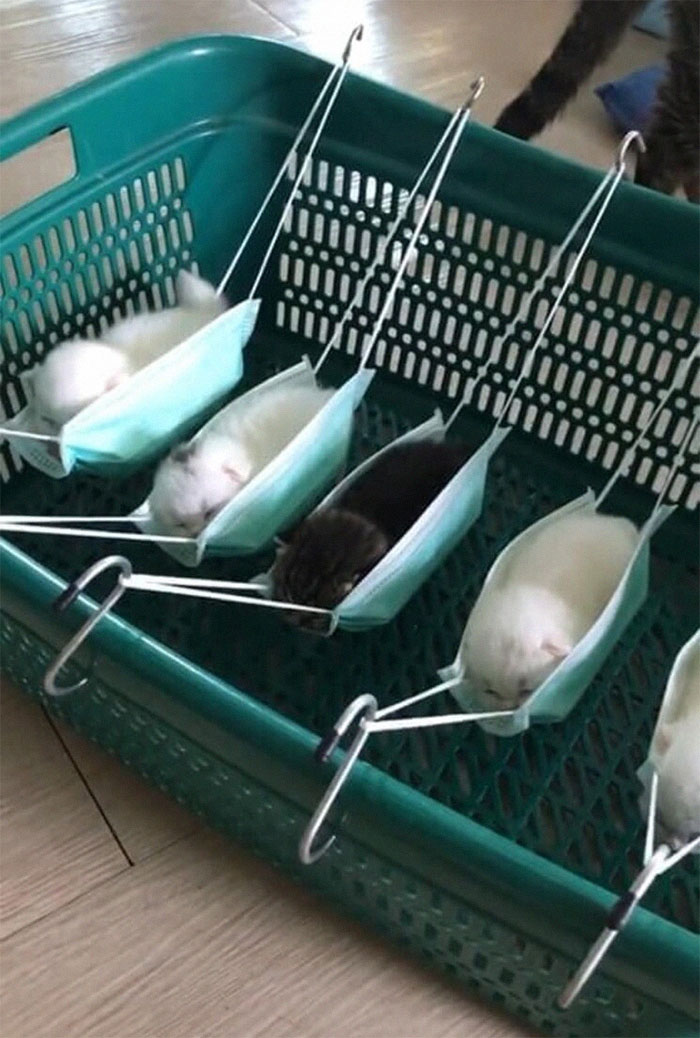 This Facebook Page Is All About Animal Images That Need To Be Seen (50 New Pics)